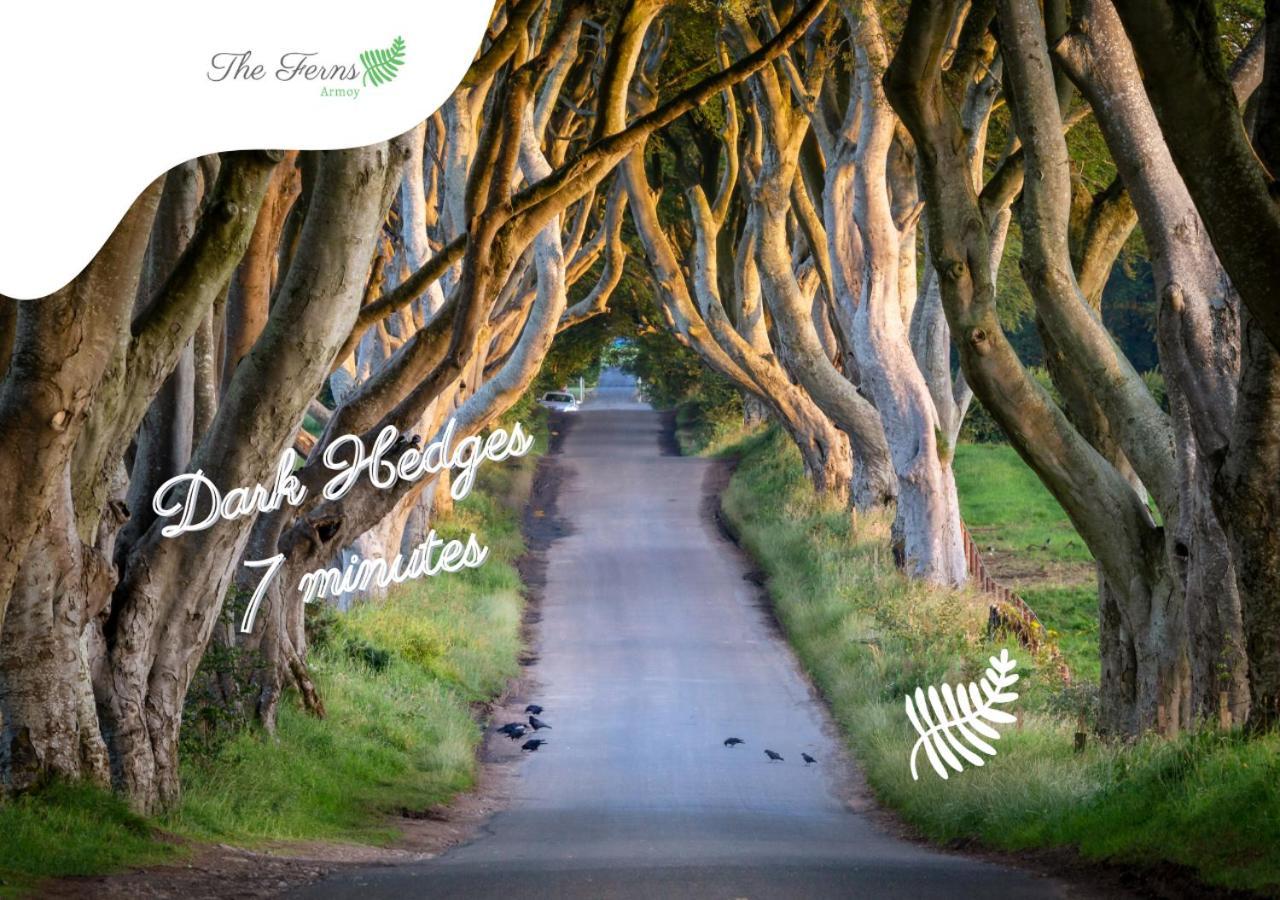 The Ferns-Ideal Base For Exploring The Causeway Coast Armoy 외부 사진